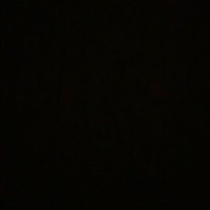 Meet your Posher, Keira